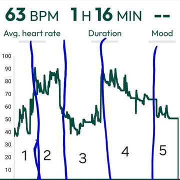 The horse's pulse in different situations