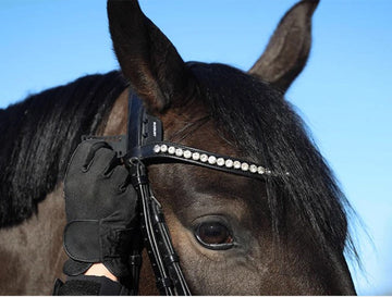 What is a Horse Heart Rate Monitor?