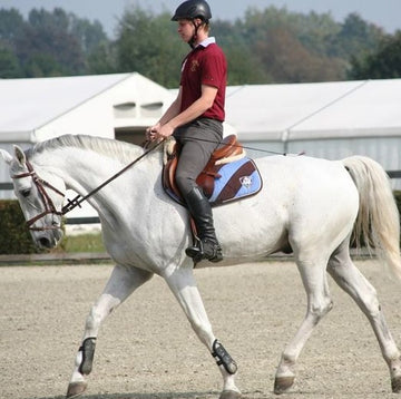 The rider's ability to prevent, recognize, and reduce stress and nervousness makes a huge difference!